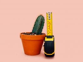 size dildo